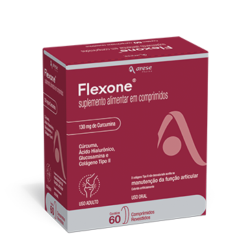 /img/Produtos/Detalhes/flexone.png